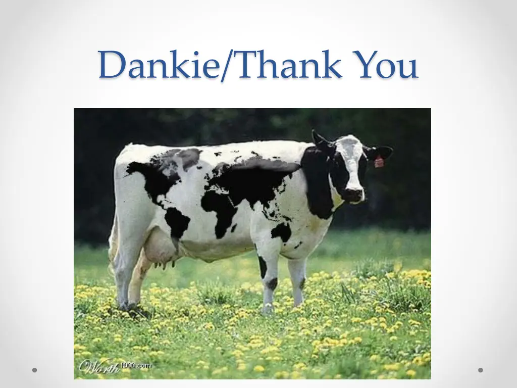 dankie thank you