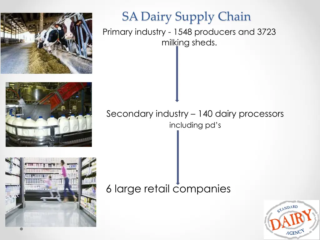 sa dairy supply chain primary industry 1548