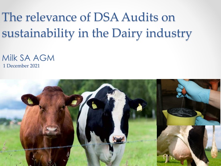 the relevance of dsa audits on sustainability