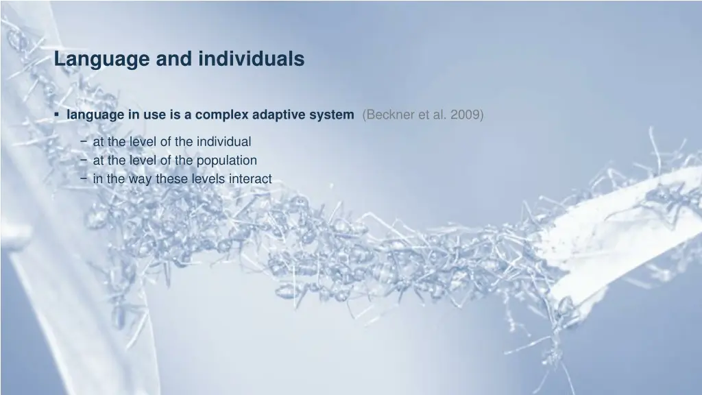 language and individuals 2