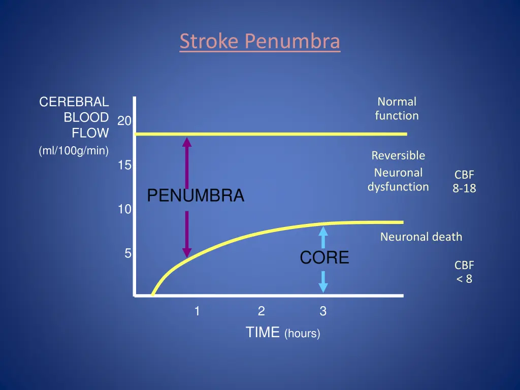 stroke penumbra