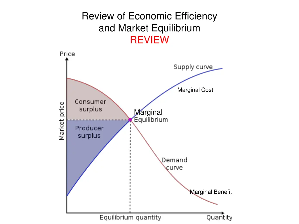 review of economic efficiency and market