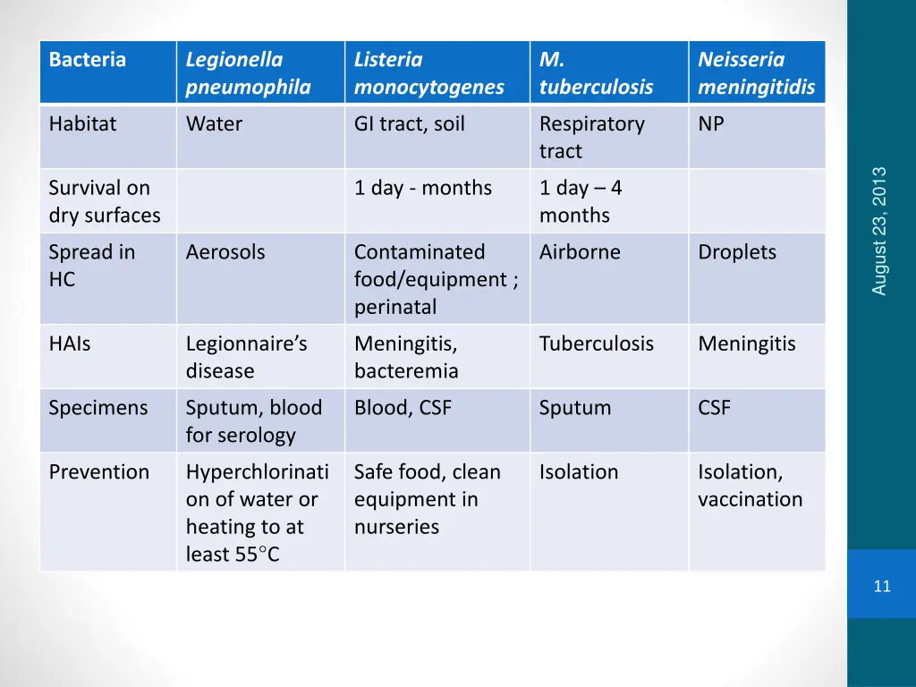 bacteria 4