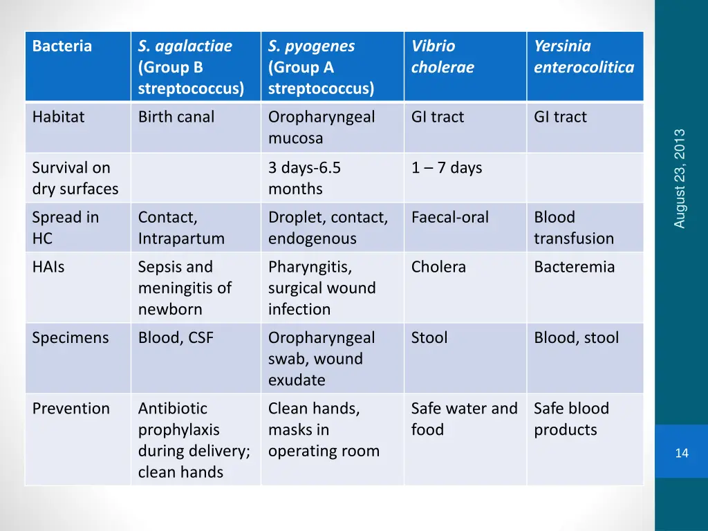bacteria 7