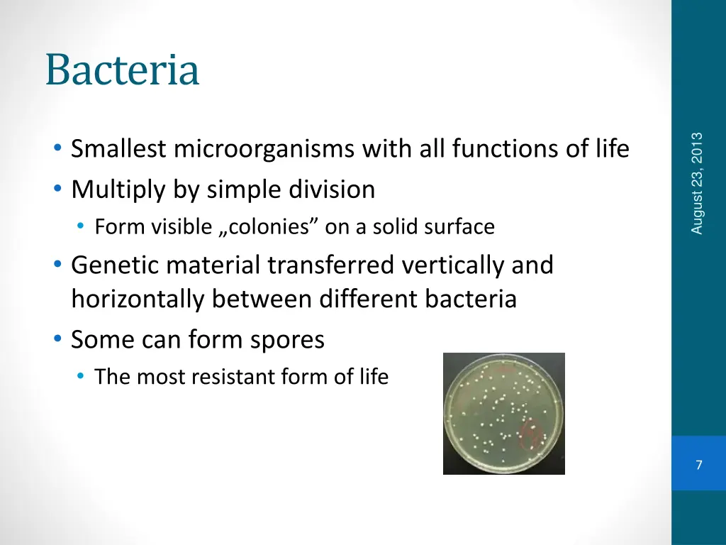 bacteria