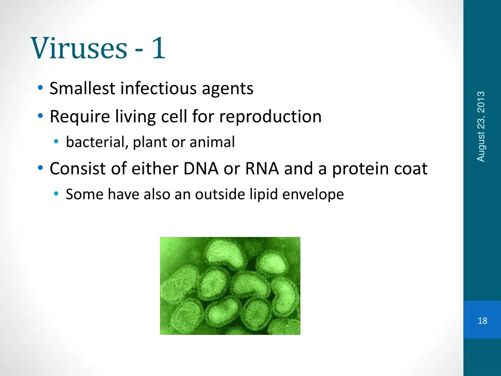 viruses 1