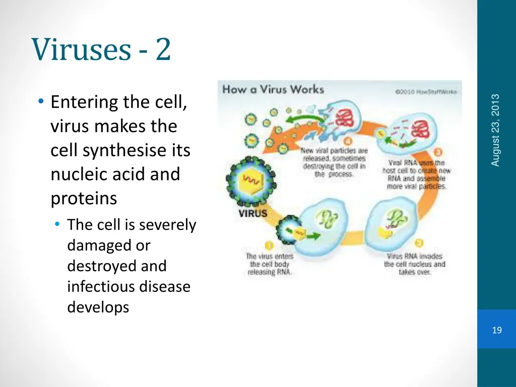 viruses 2