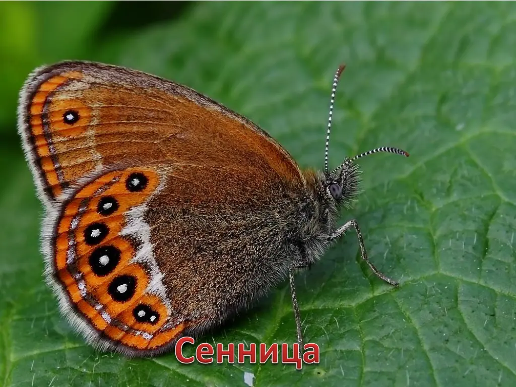slide23