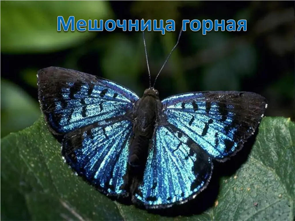slide26