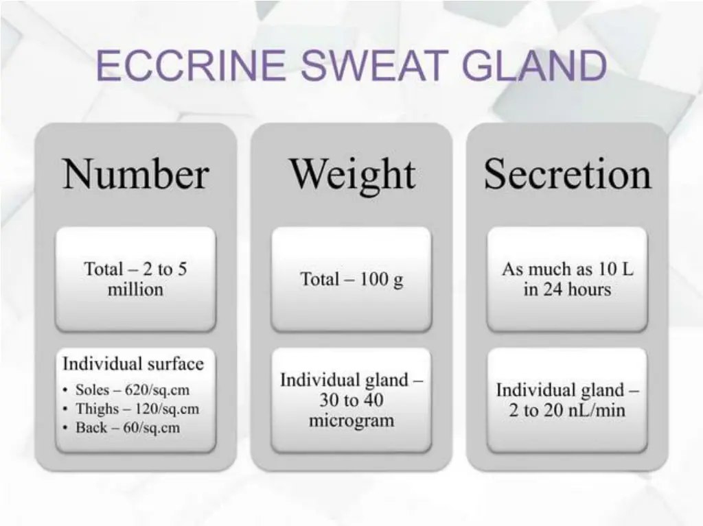 slide10