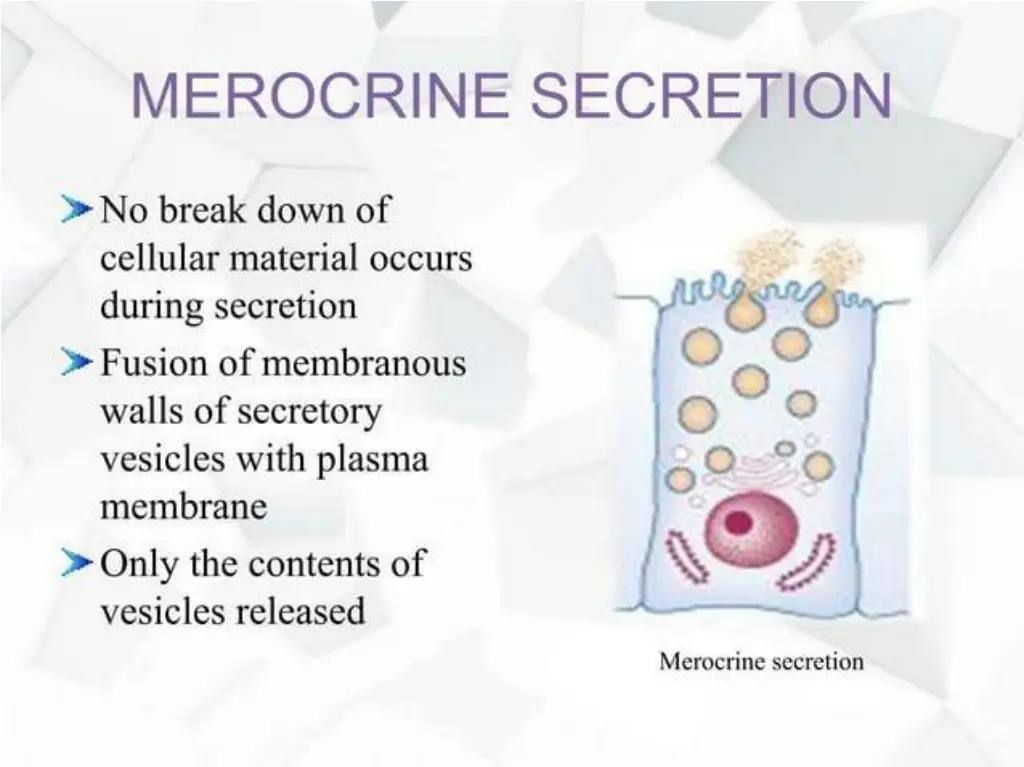 slide11