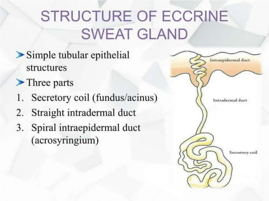 slide12