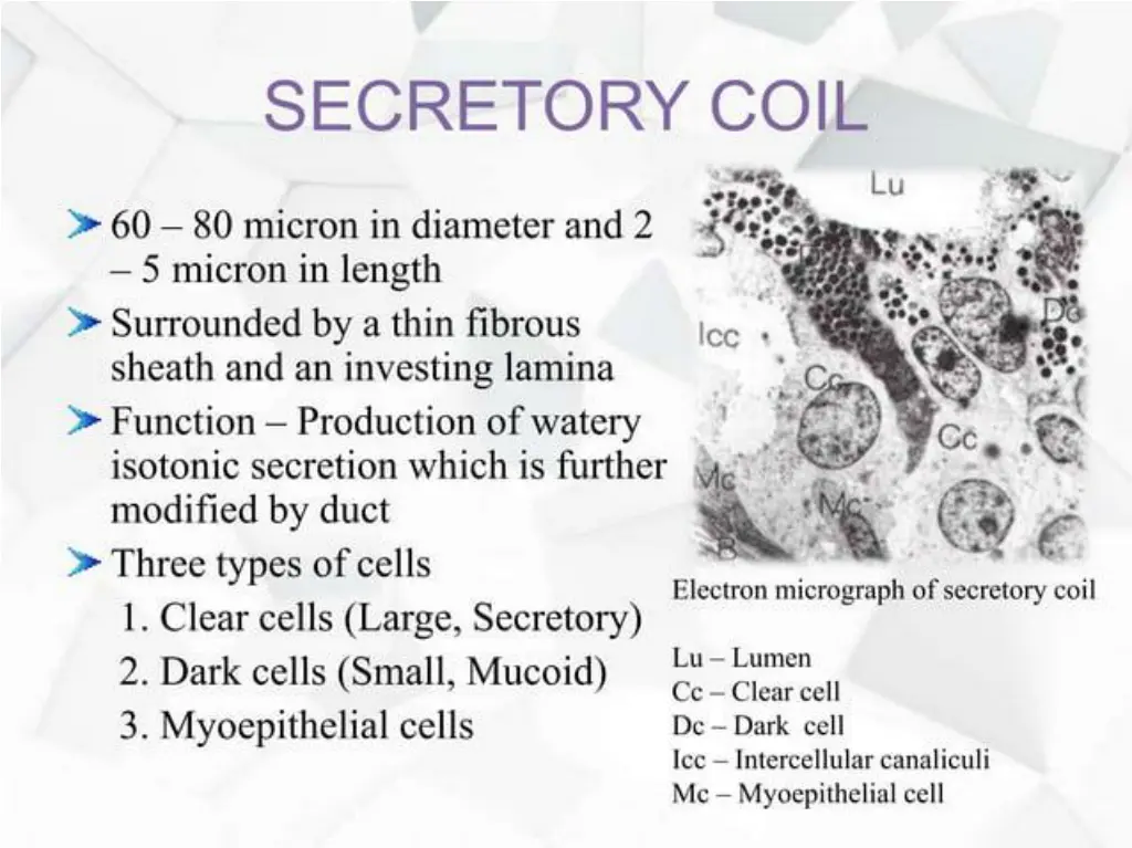slide13