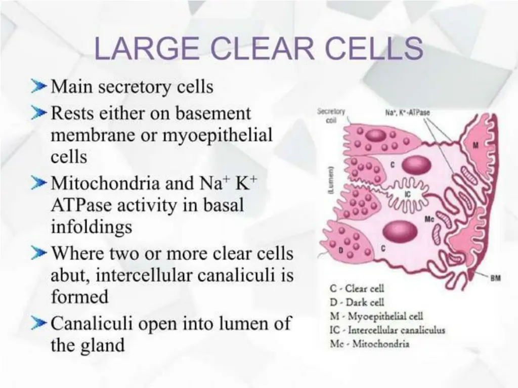 slide14