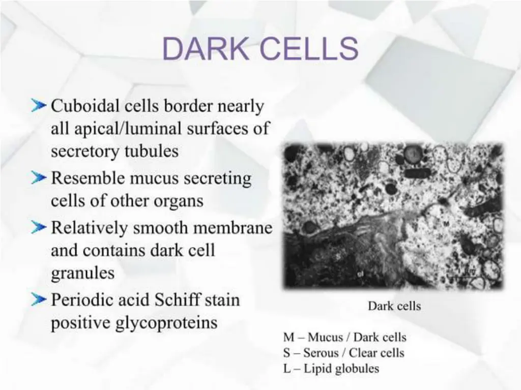 slide15