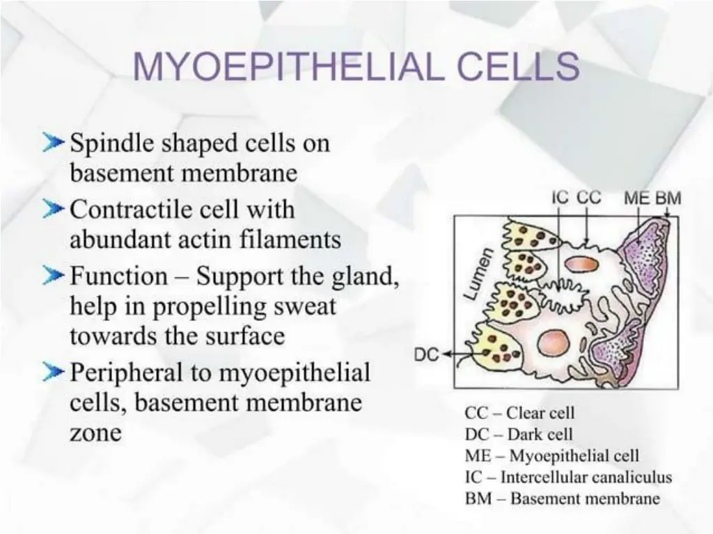 slide16