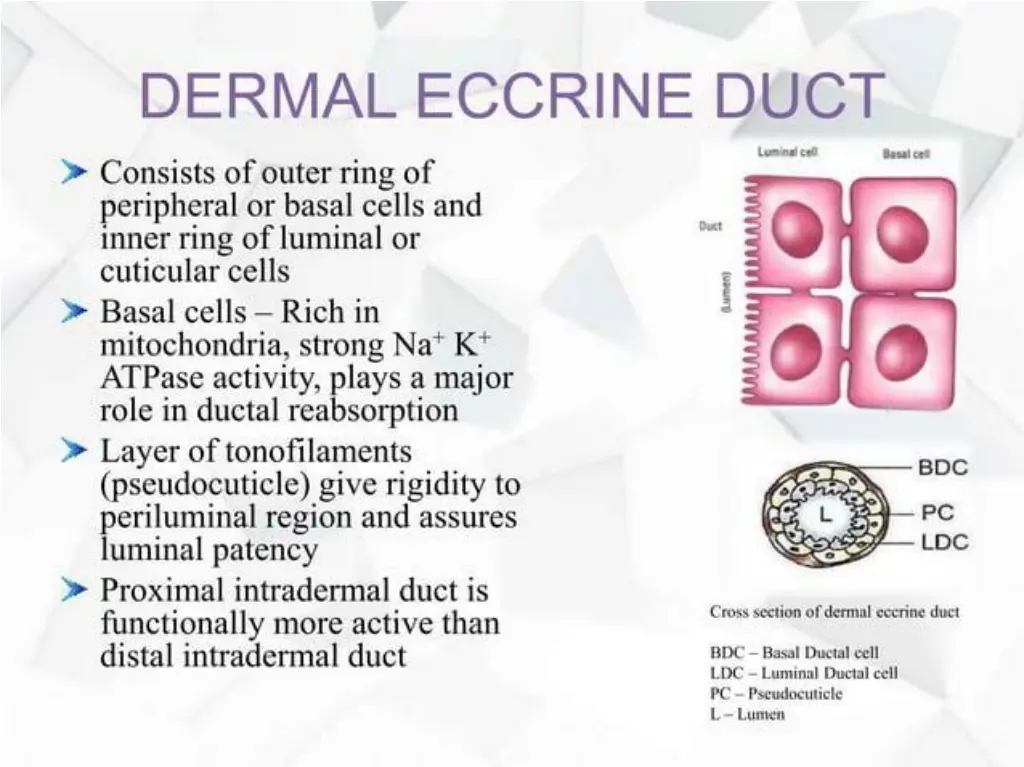 slide17