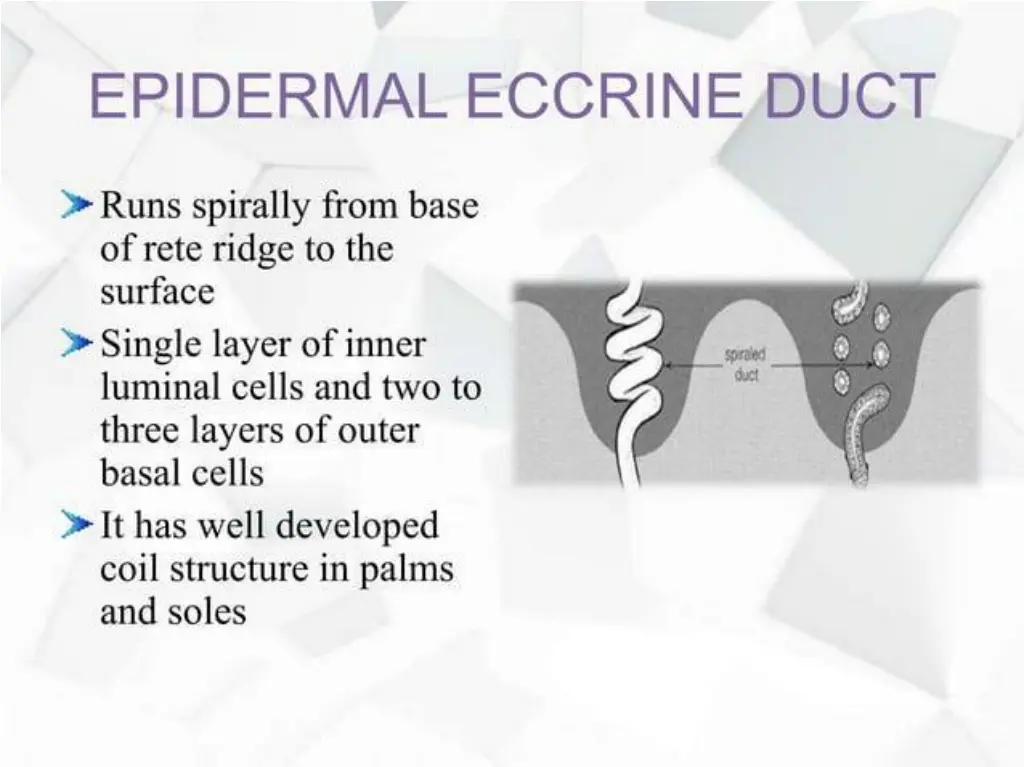 slide18