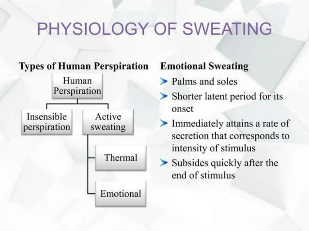 slide19