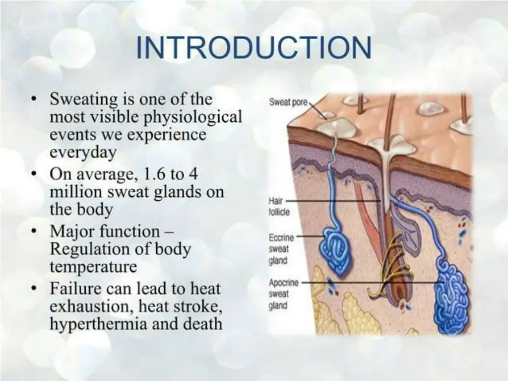 slide2