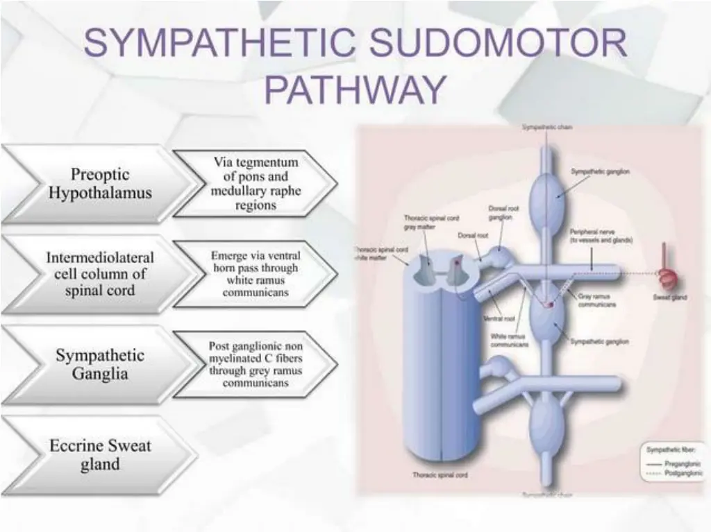 slide21