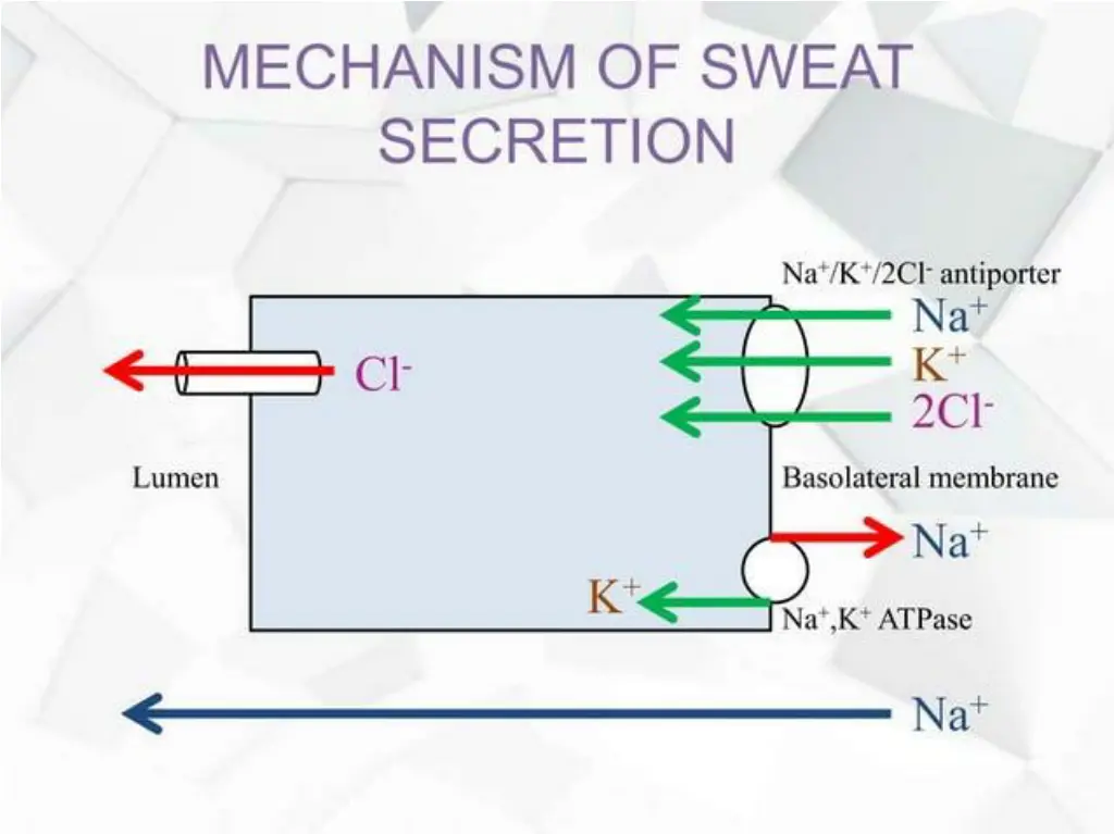 slide24