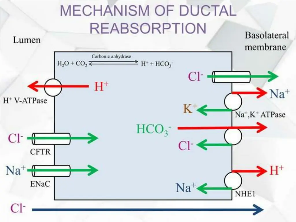 slide25