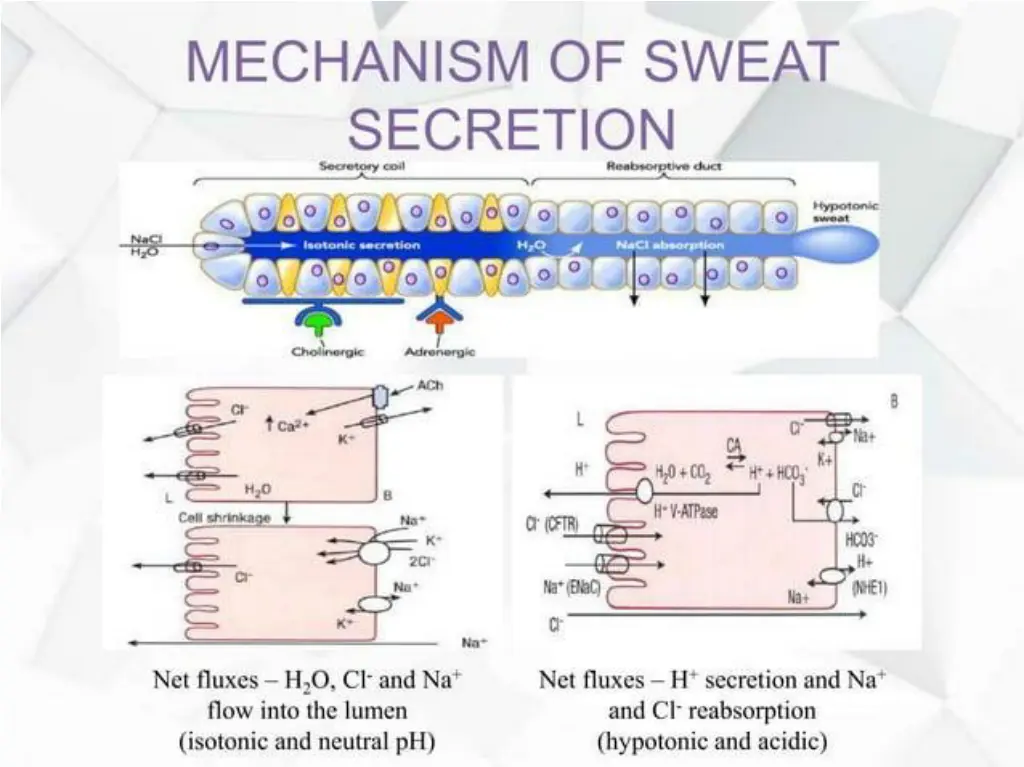 slide26