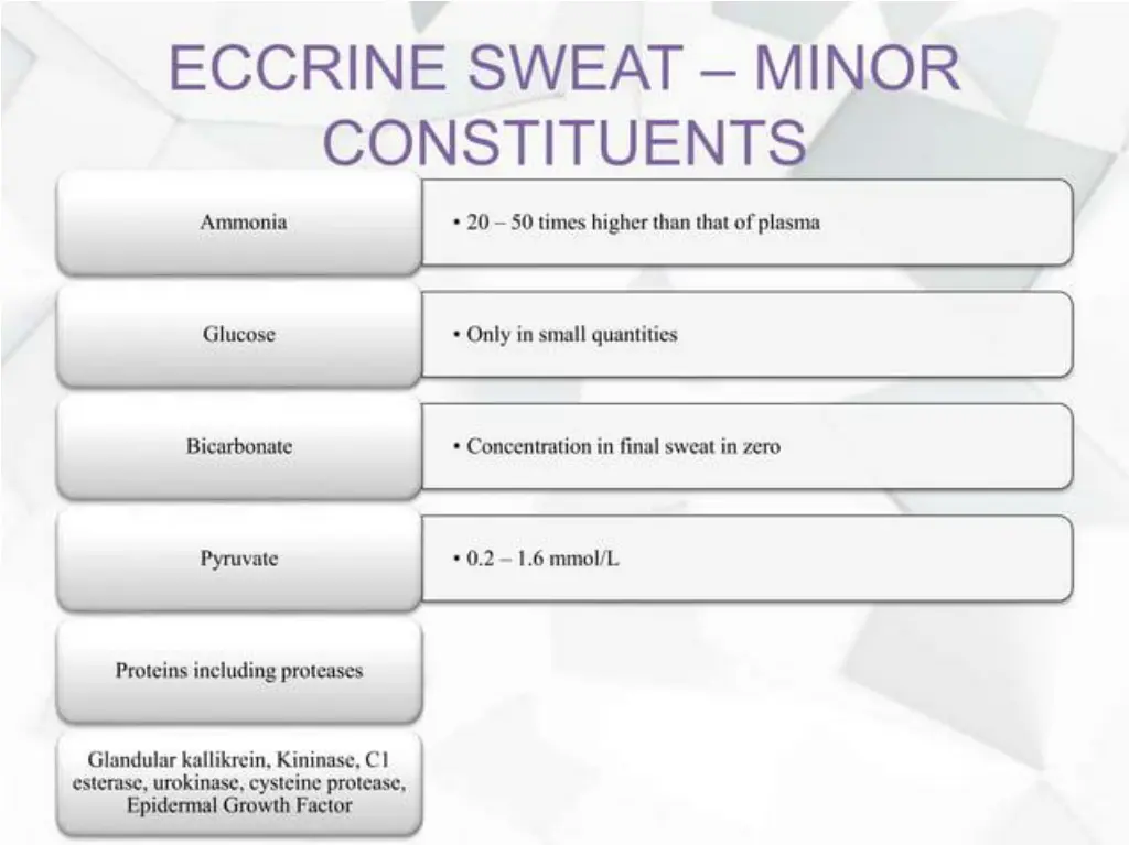 slide28