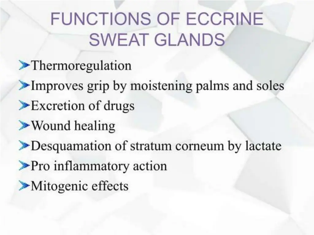 slide29