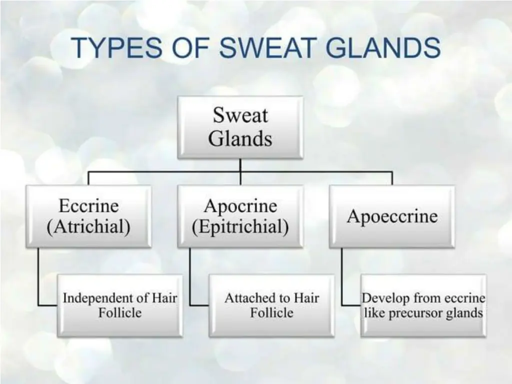 slide3