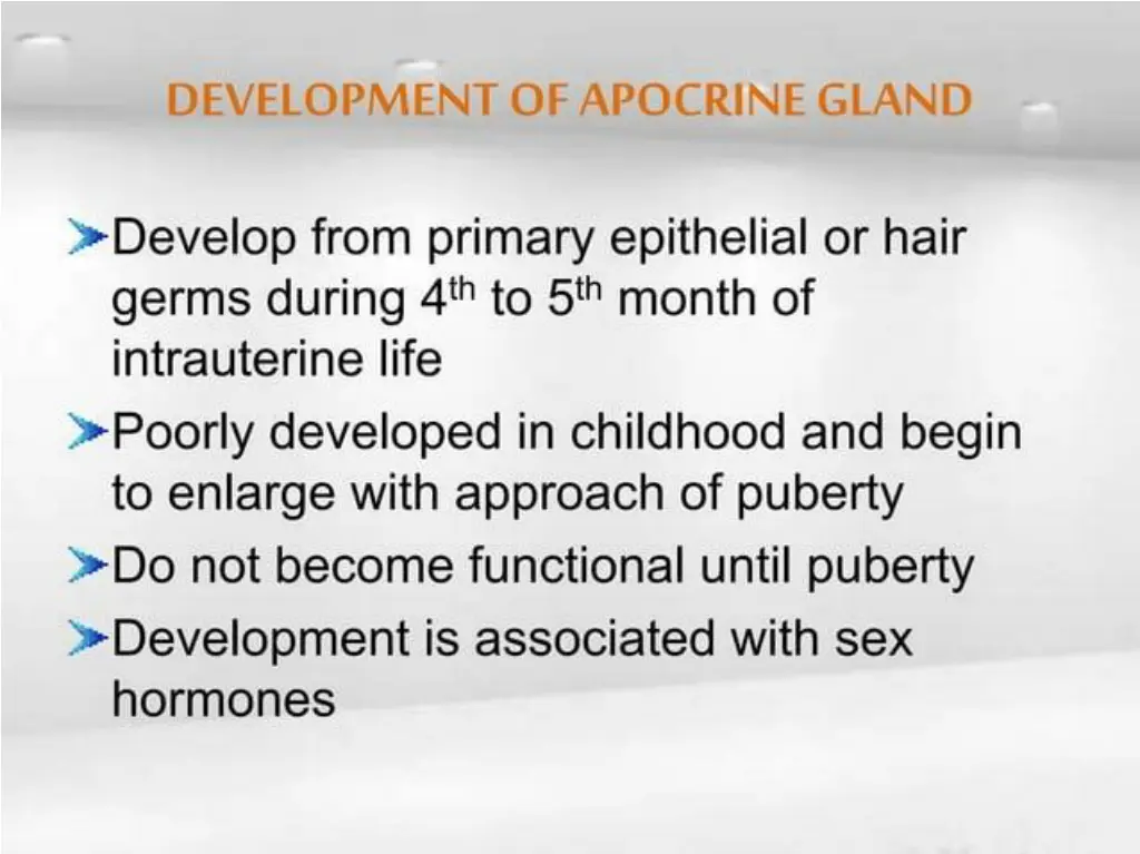 slide31
