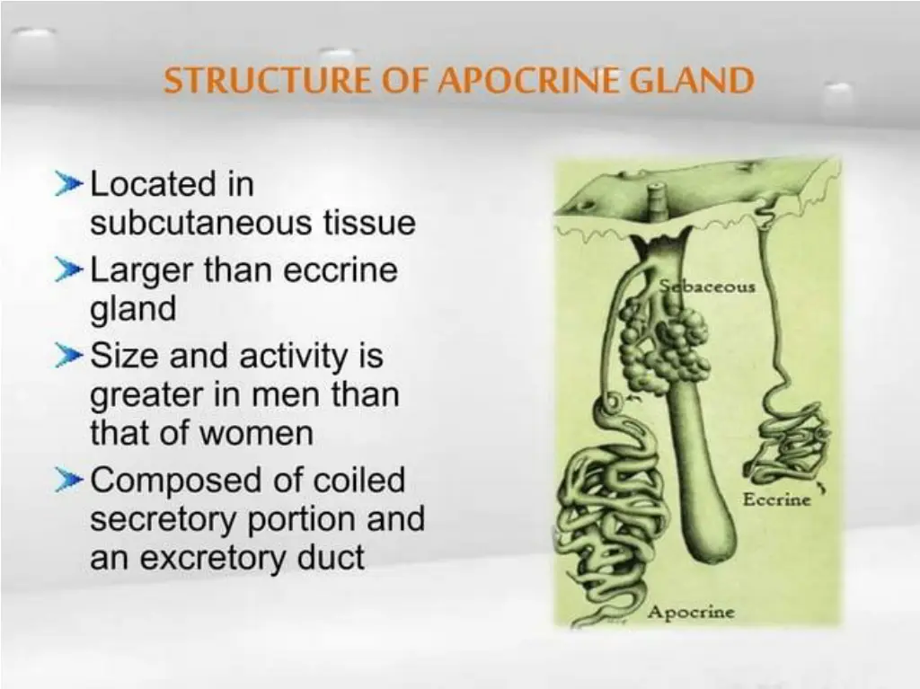 slide32