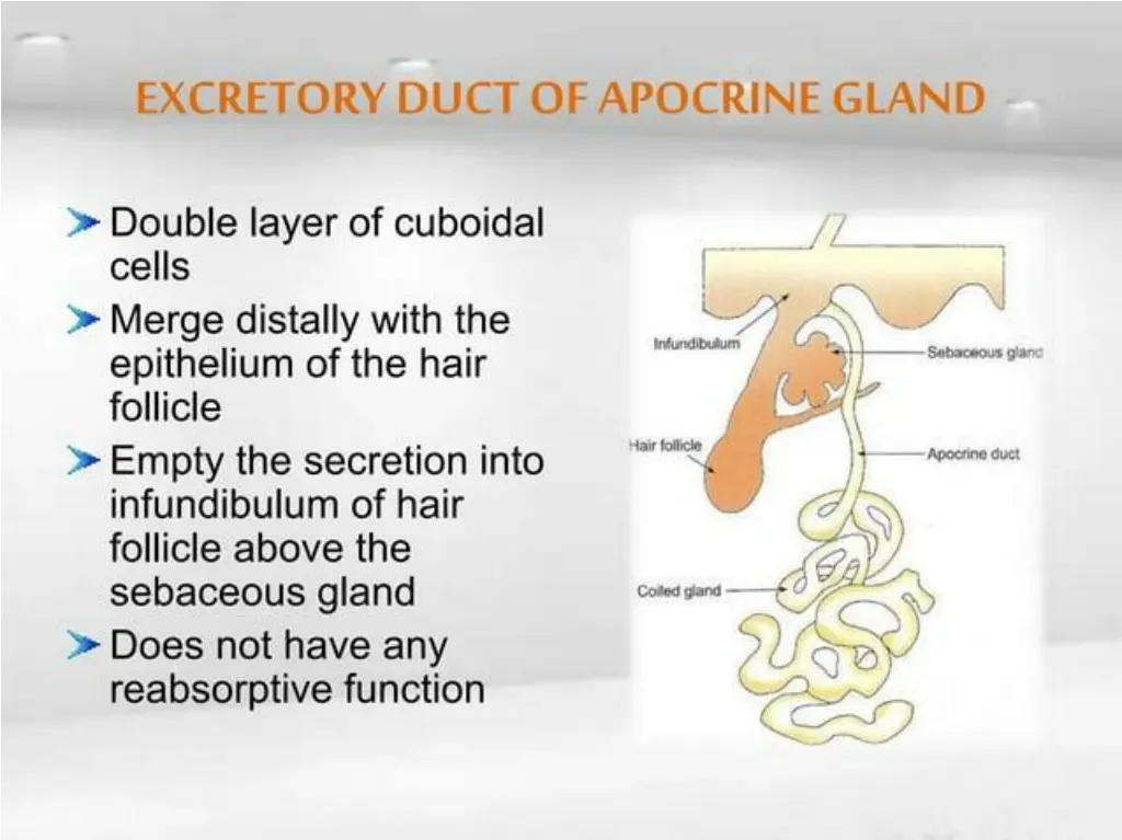 slide34