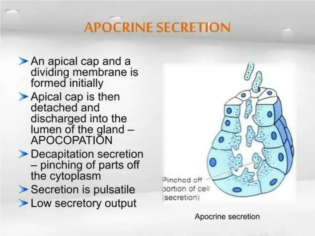 slide36