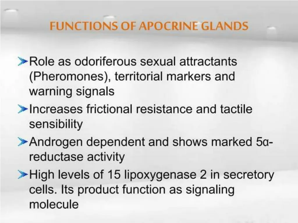 slide39