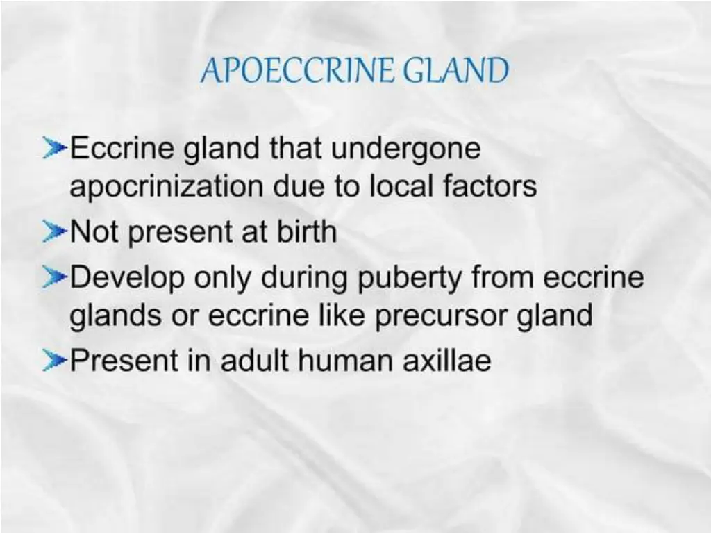 slide41