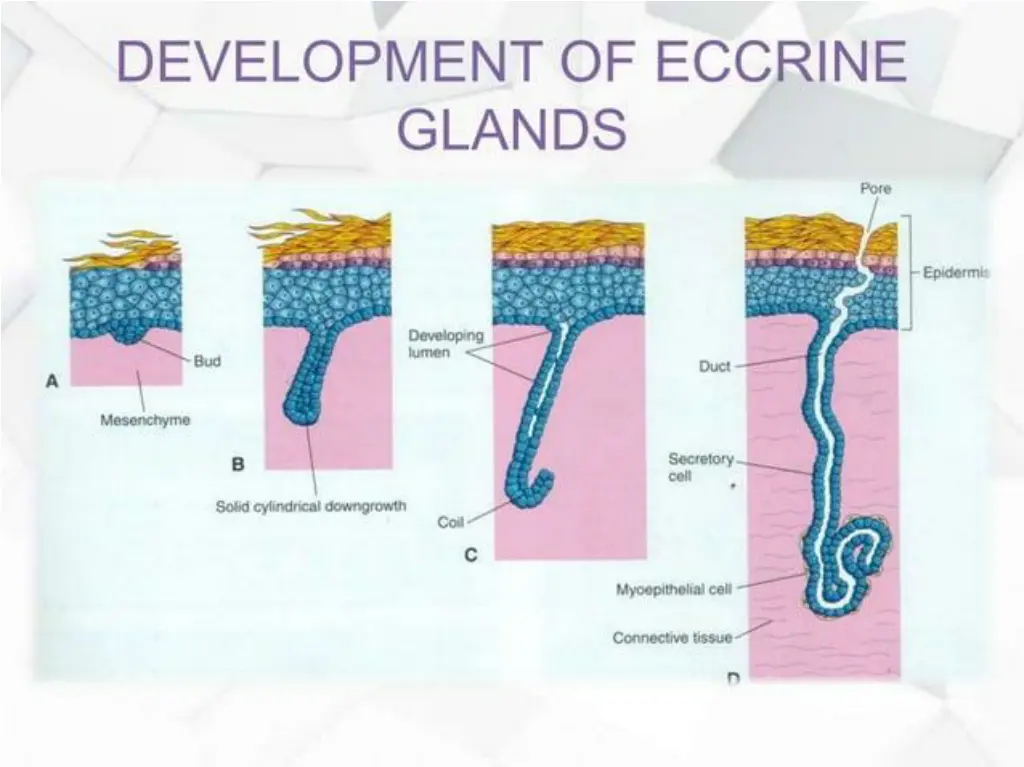 slide6