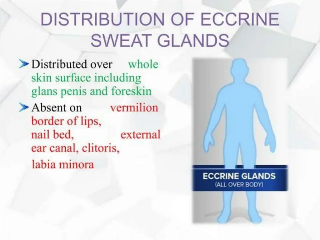 slide8