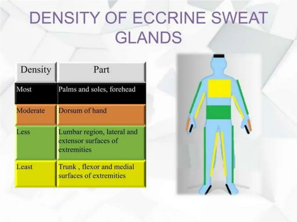 slide9