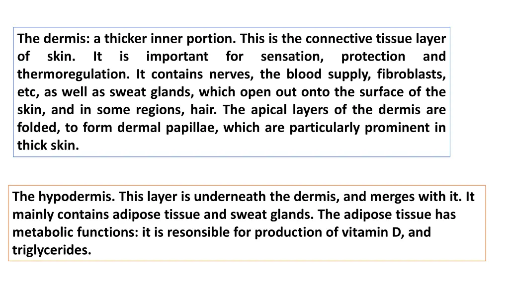 the dermis a thicker inner portion this