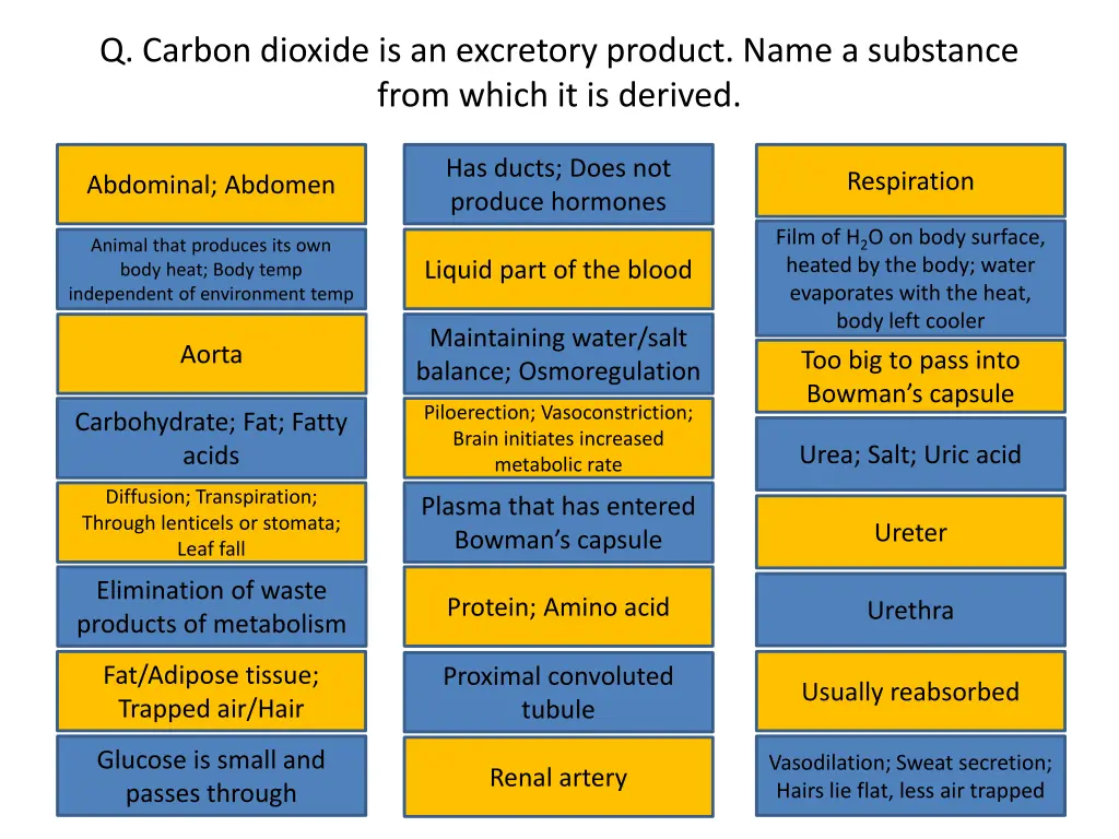 q carbon dioxide is an excretory product name