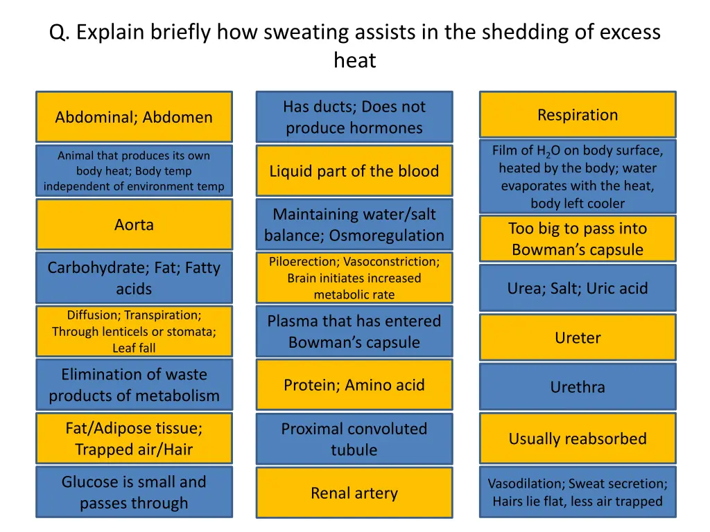 q explain briefly how sweating assists
