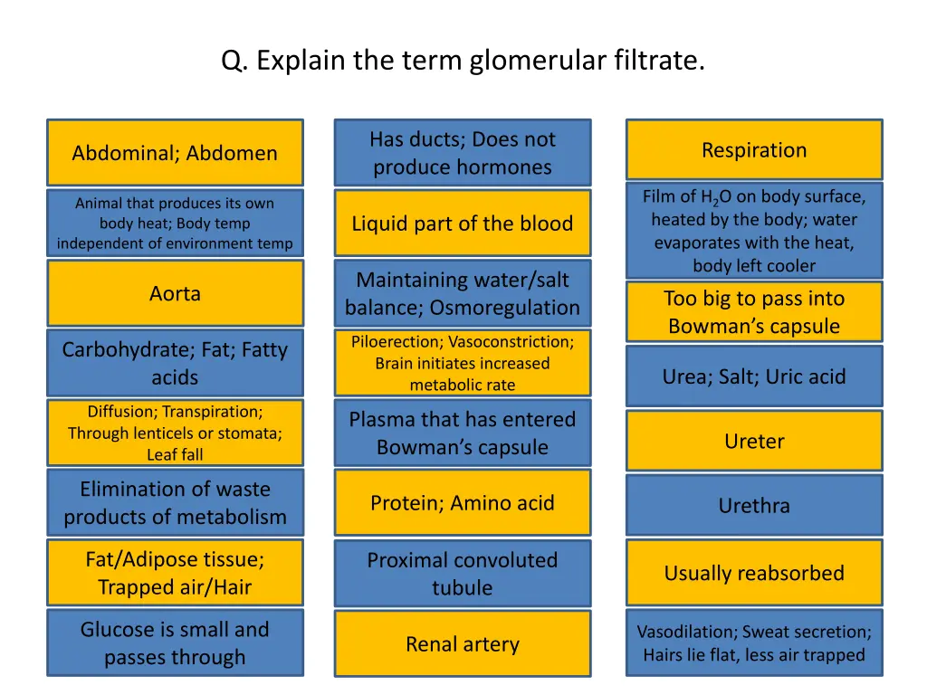 q explain the term glomerular filtrate