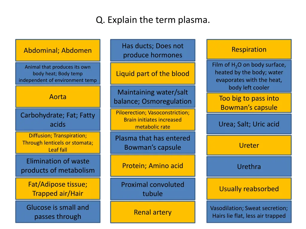 q explain the term plasma