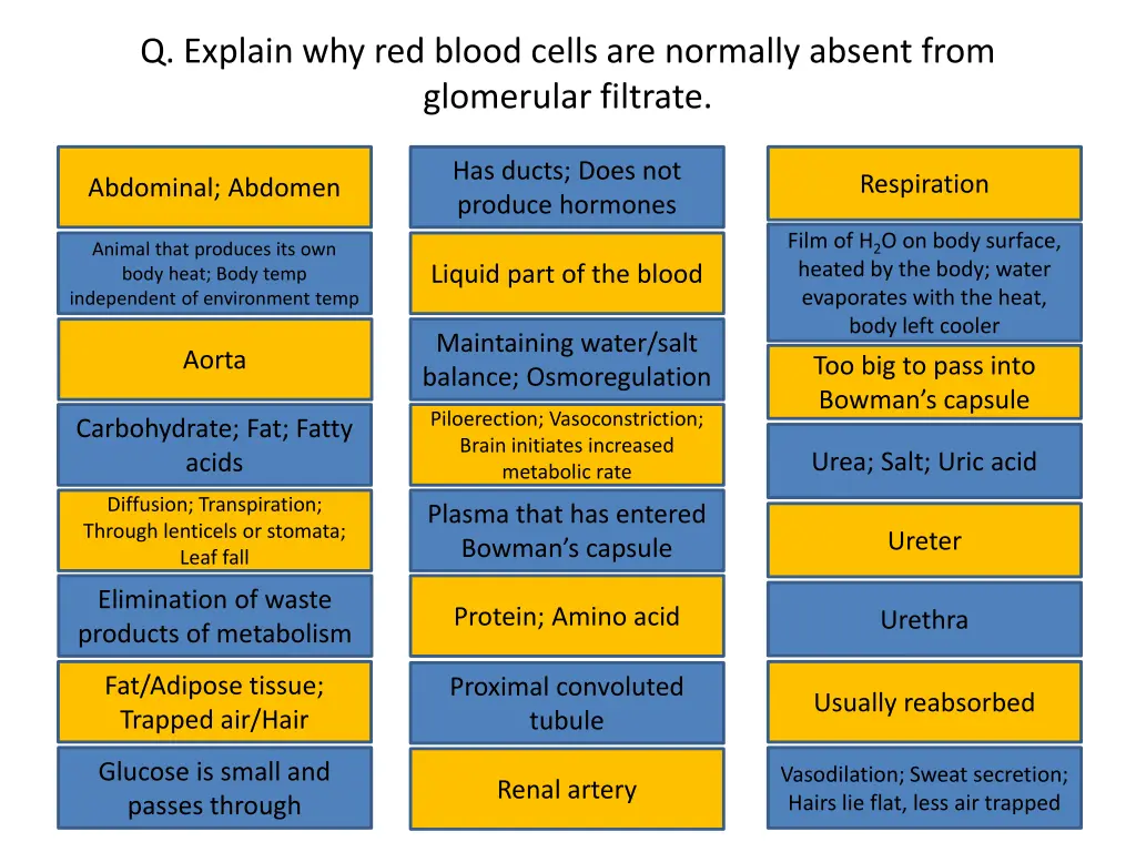 q explain why red blood cells are normally absent