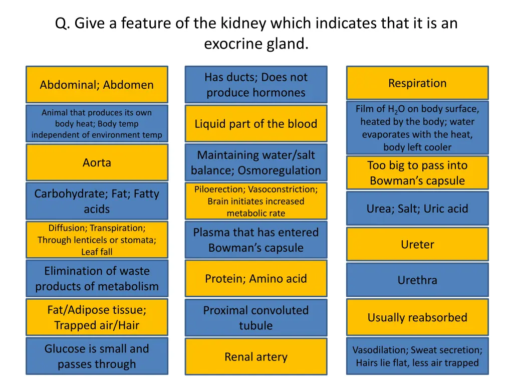 q give a feature of the kidney which indicates