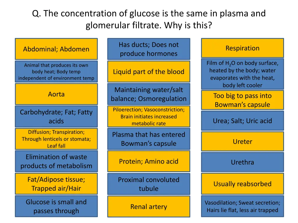 q the concentration of glucose is the same
