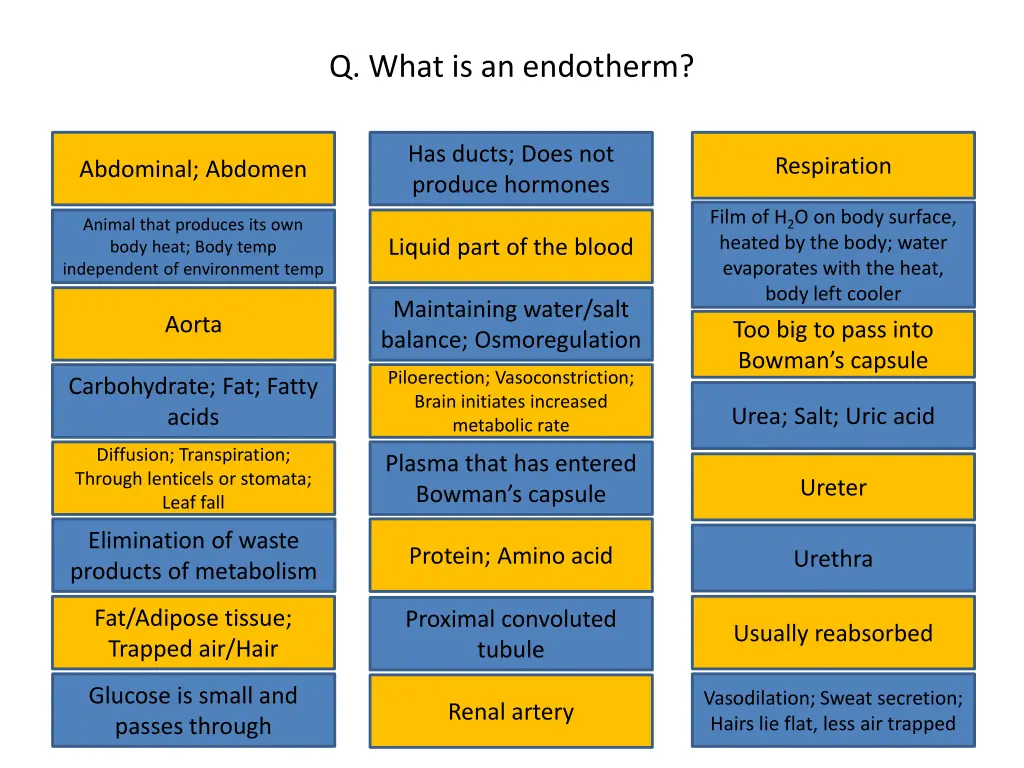 q what is an endotherm