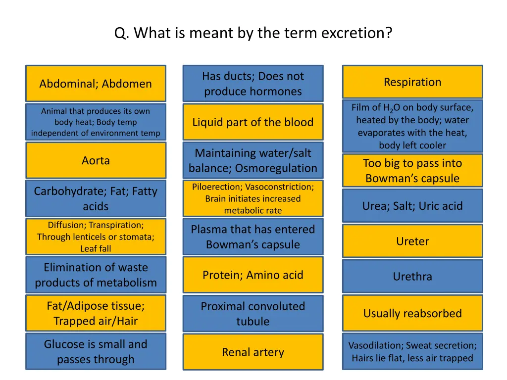 q what is meant by the term excretion